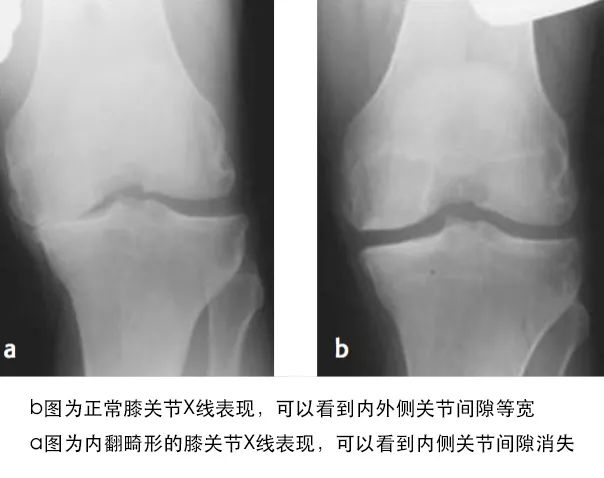图片15.png