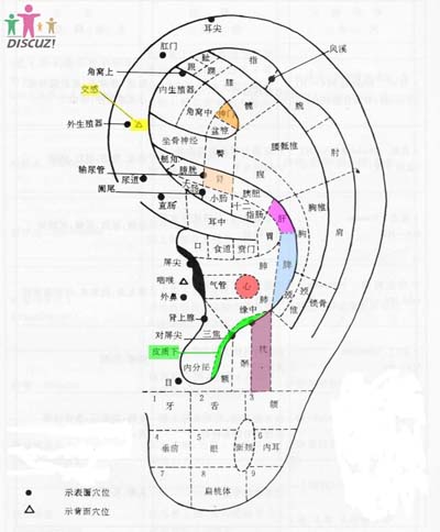 图片 12.jpg