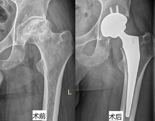 图片-9.jpg